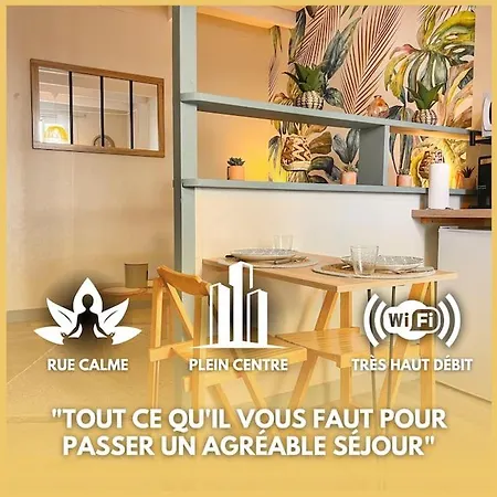 Aimer Hyper Centre Appartement *