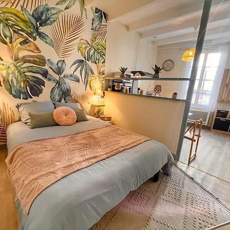 Aimer Hyper Centre Appartement *